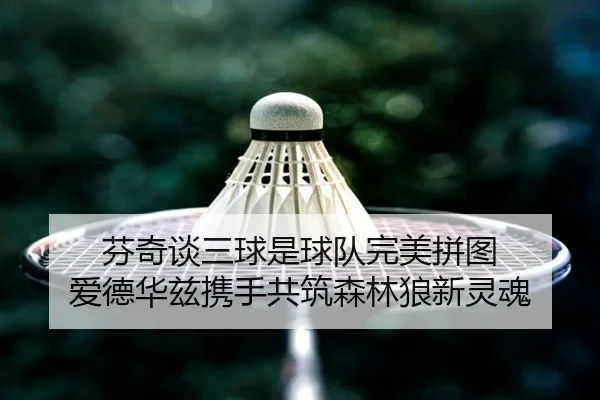 芬奇谈三球是球队完美拼图 爱德华兹携手共筑森林狼新灵魂